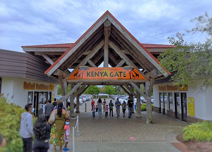 African Lion Safari photo