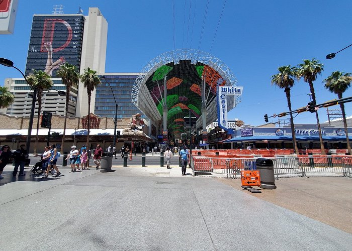 Fremont Street Experience photo