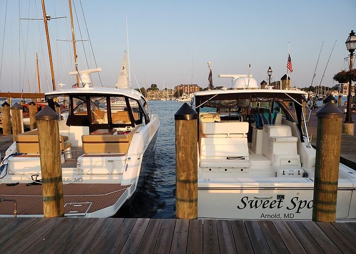 Annapolis Harbor photo