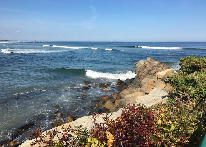 Marginal Way photo