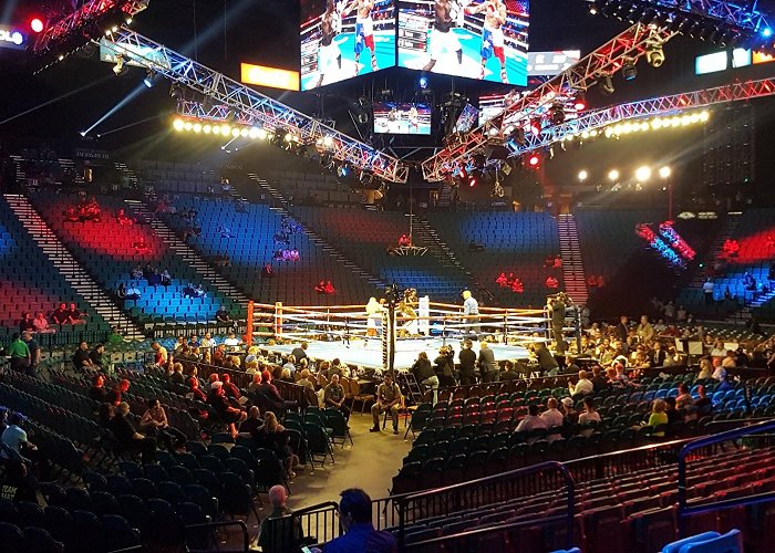 MGM Grand Garden Arena photo