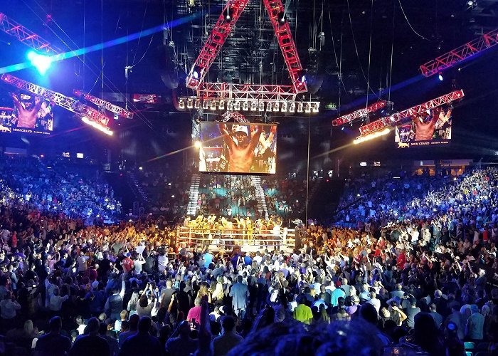 MGM Grand Garden Arena photo