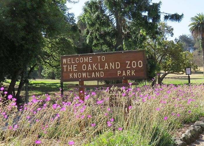 Oakland Zoo photo