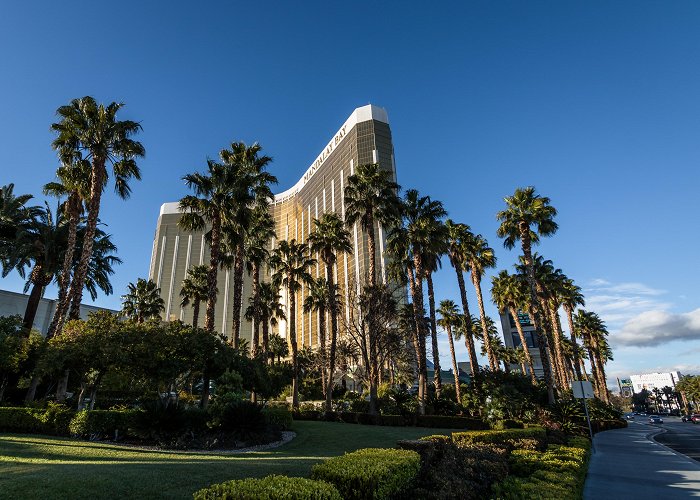 Mandalay Bay Resort and Casino photo