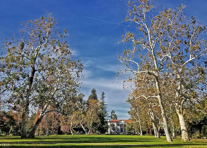 Pomona College photo