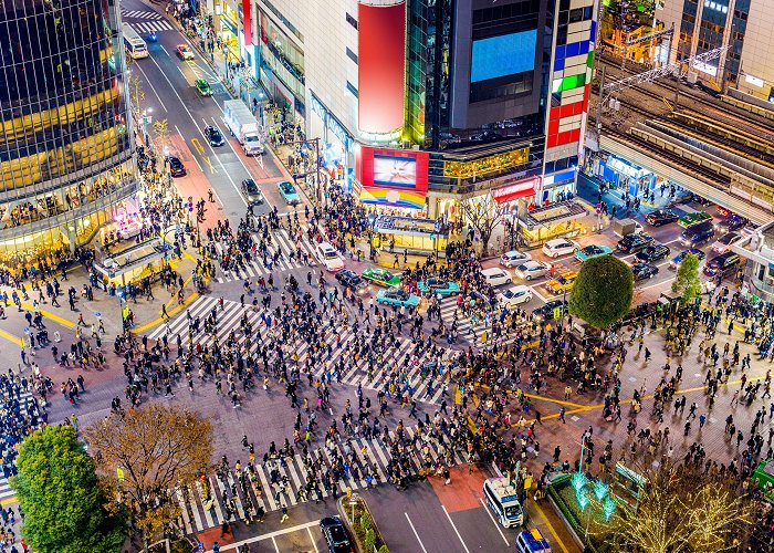 Shibuya Crossing photo