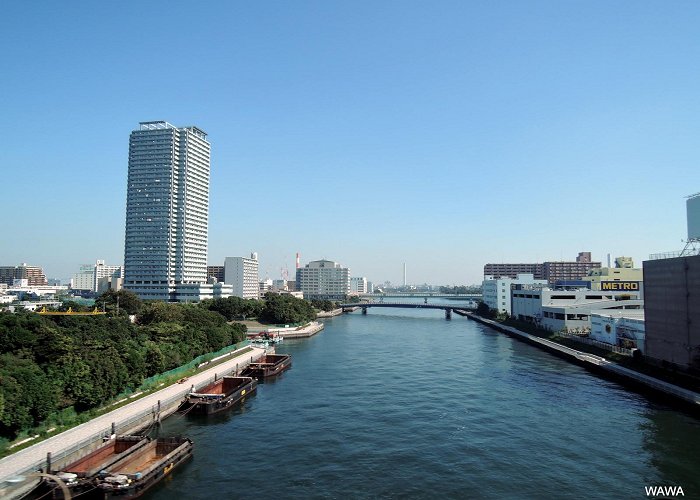 Tokyo Bay photo