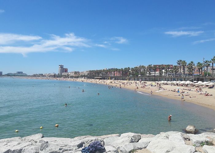 Barceloneta Beach photo