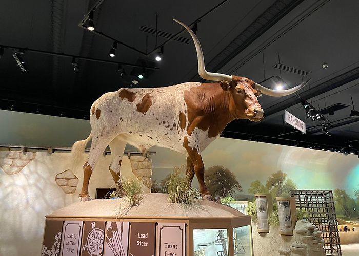 Witte Museum photo