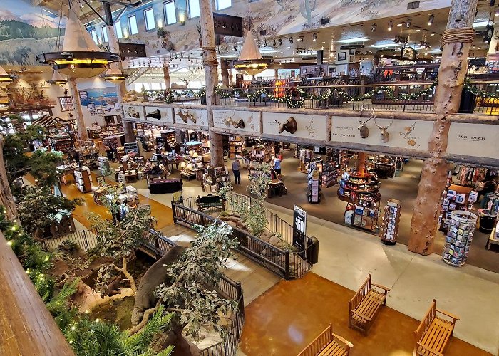 Bass Pro Shops photo