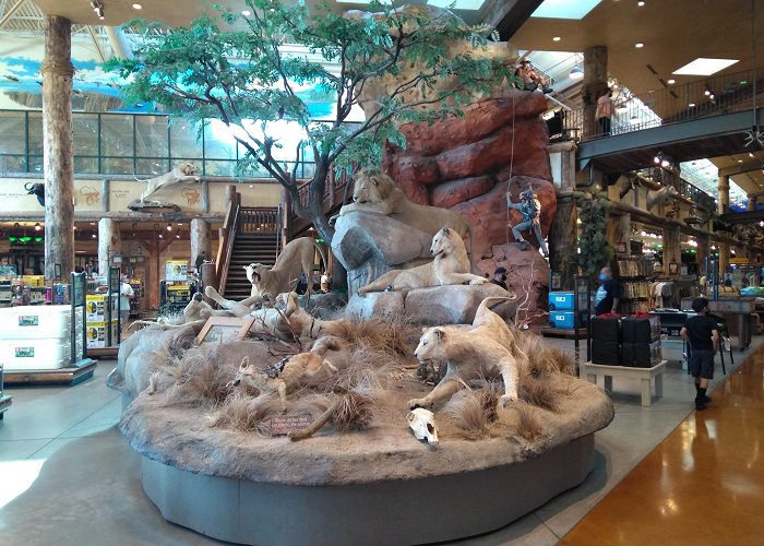 Bass Pro Shops photo