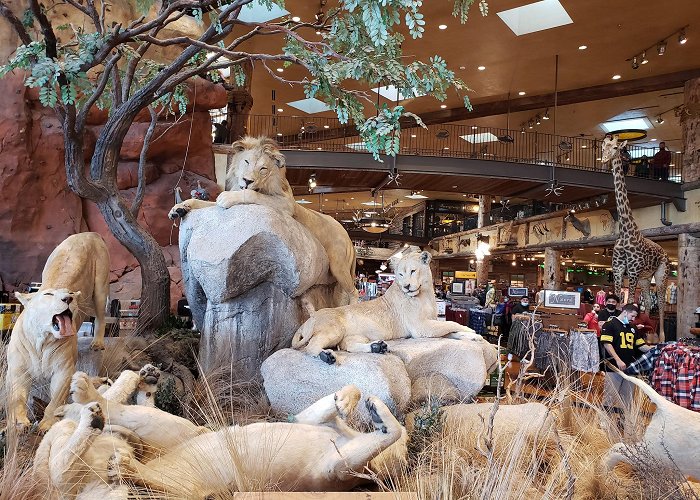 Bass Pro Shops photo