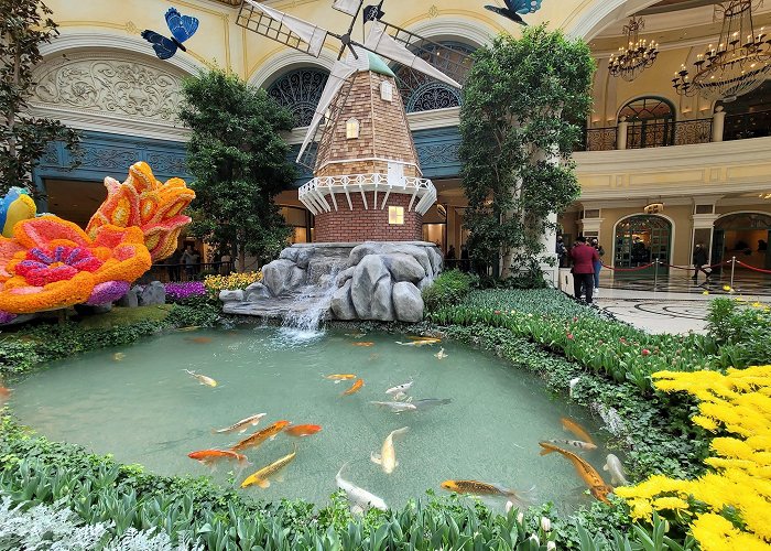 Bellagio Casino photo