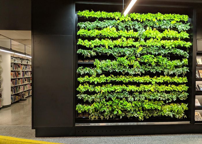 Concordia University photo