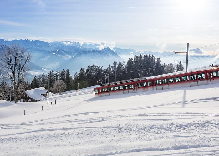 Rigi Rigi | Switzerland Tourism photo