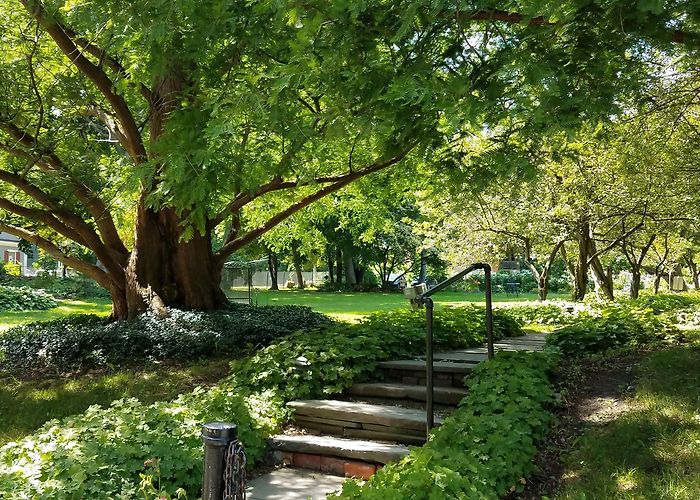 Ten Broeck Mansion Albany County Historical Association-Ten Broeck Mansion photo