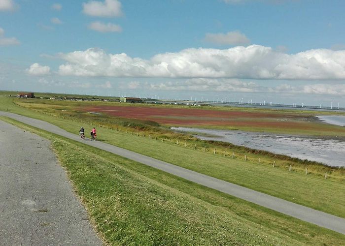 Grossensee Top 20 Bike Rides and Cycling Routes in North Frisia | Komoot photo