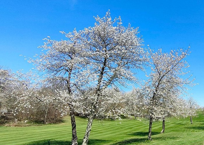 Ariege Golf Club Ecogolf Ariège Pyrénées - Golf in La Bastide-de-Sérou - Guide ... photo