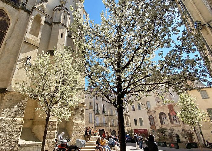 Saint-Roch Church PLACE SAINT-ROCH (Montpellier) | Montpellier Tourism photo