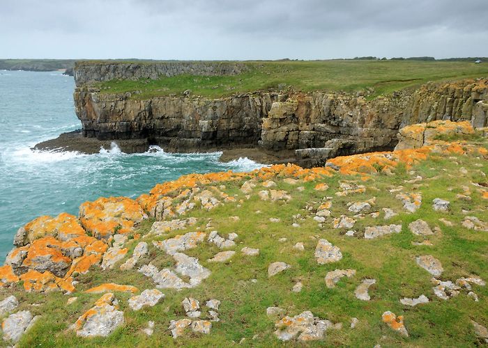 Stackpole Estate Stackpole | Pembrokeshire | Wales | National Trust photo