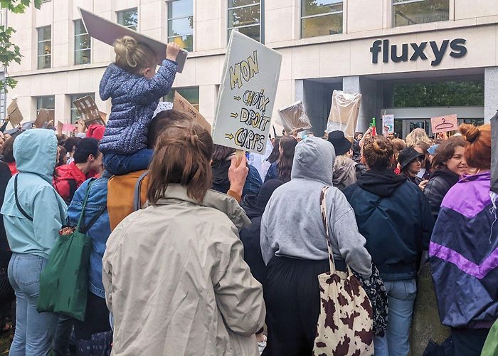 Fluxys Notes From Belgium. photo