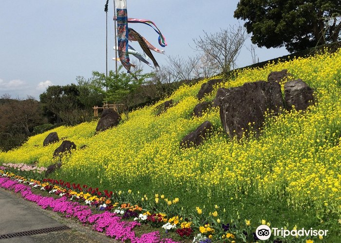 Fukuchi Sanroku Hana Park 福智町Kokokuji Temple游玩攻略-Kokokuji Temple门票多少钱/价格表 ... photo