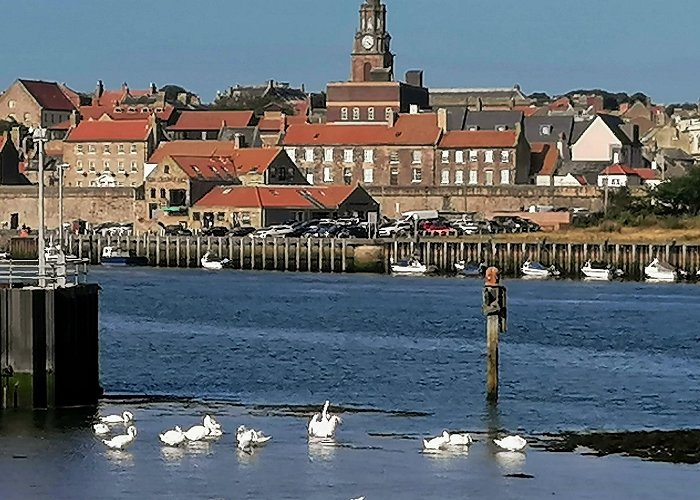 Berwick Upon Tweed photo