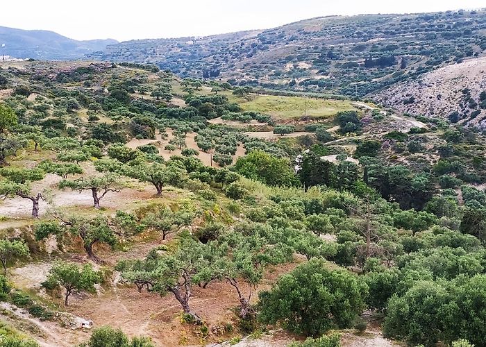 Gouves (Crete) photo