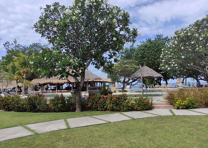 Pemuteran (Bali) photo