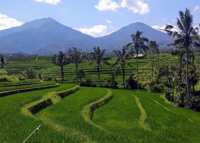Tabanan (Bali) photo