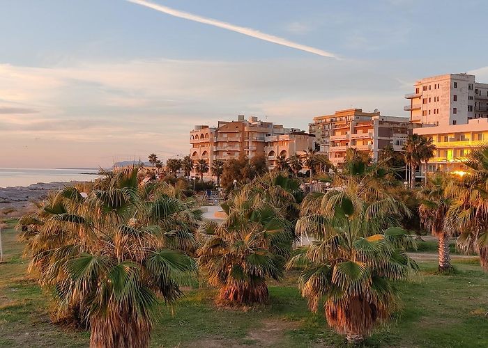 Marsala photo