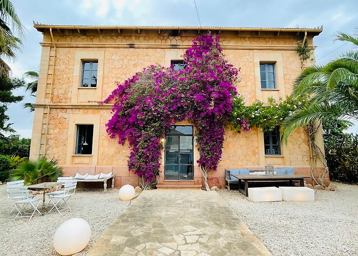 Ses Salines (Mallorca) photo