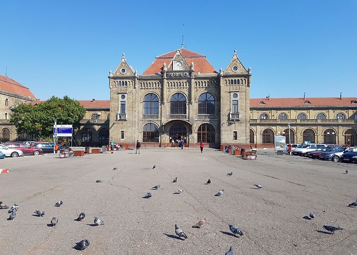Arad photo