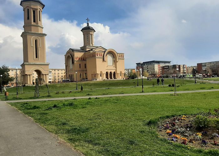 Arad photo