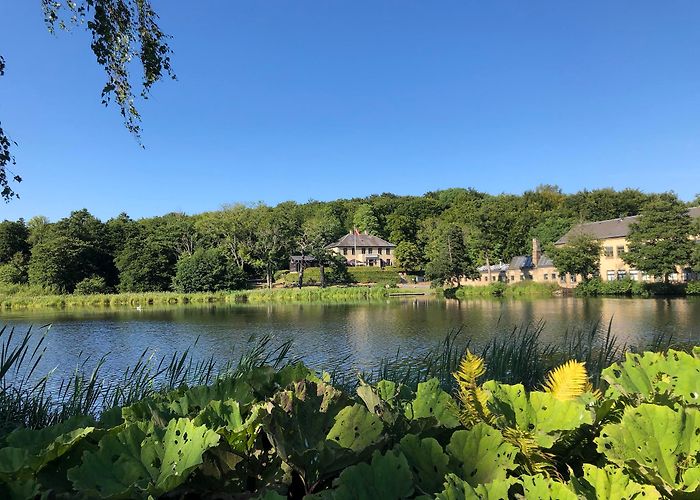 Kongens Lyngby photo