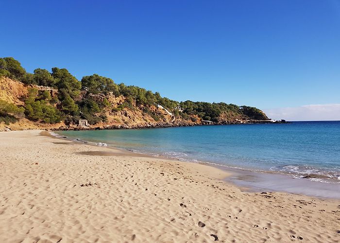 Cala Llenya (Ibiza) photo