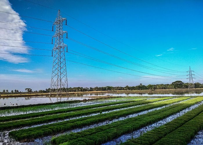 Mayiladuthurai photo