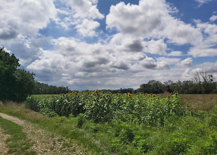 Beaurepaire (Isere) photo