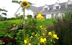 Cregg House Bed & Breakfast Clifden Exterior photo