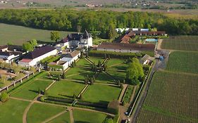 Chateau De Pizay Belleville-sur-Saone Exterior photo