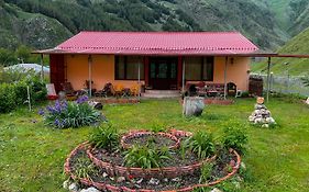 Januka Garden In Sno Villa Kazbegi Exterior photo