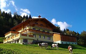 Biobauernhof Aslgut Villa Bad Hofgastein Exterior photo