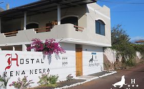 Hostal Arena Negra Apartment Puerto Ayora  Exterior photo