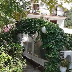 Pansion Mimoza Bed & Breakfast Herceg Novi Exterior photo