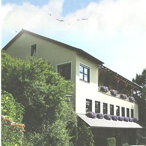 Landgasthaus Zum Erlengrund Hotel Emskirchen Exterior photo