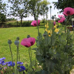 Le Gite De La Grange De Broustic Bed & Breakfast Lahosse Exterior photo