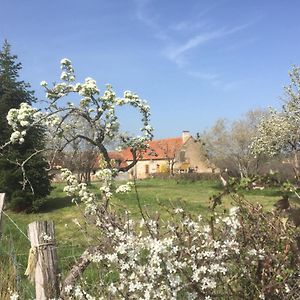 Chambres D'Hotes Domaine Les Grands Perons Herisson Exterior photo