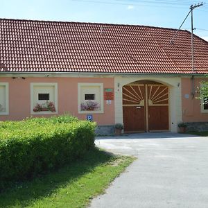 Ubytovani U Zimu Hotel Vodnany Exterior photo