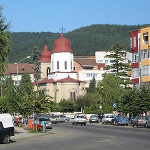 Garsoniera Jad Apartment Tirgu Ocna Exterior photo