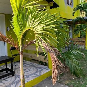 Tha Lagoon Spots Cool Vybz Apartment Port Antonio Exterior photo